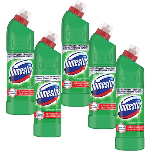 DOMESTOS ÇAMAŞIR SUYU DAĞ ESİNTİSİ 750 ML X  5 ADET