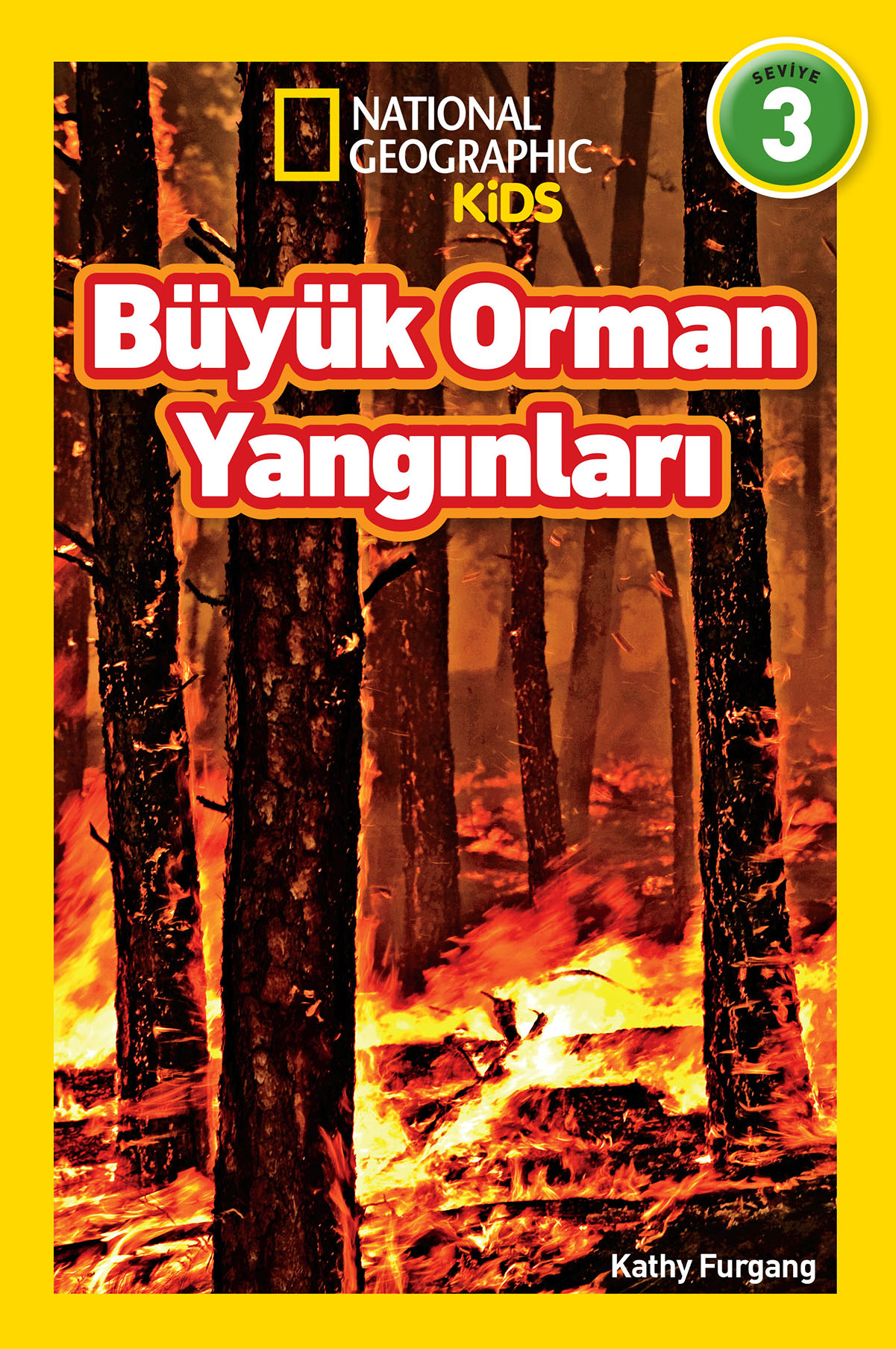 Büyük Orman Yangınları