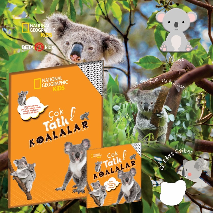 Çok Tatlı Koalalar paket