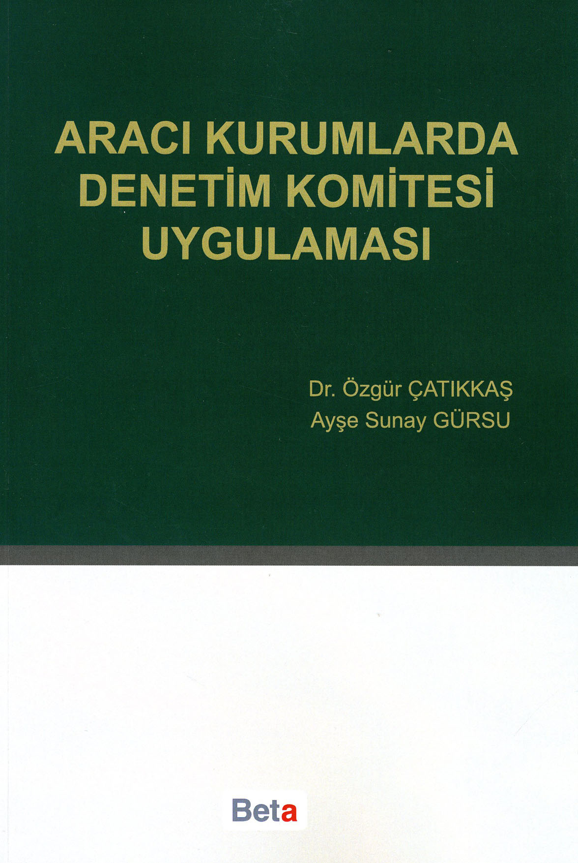 Aracı Kurumlarda Denetim Komitesi Uygulaması