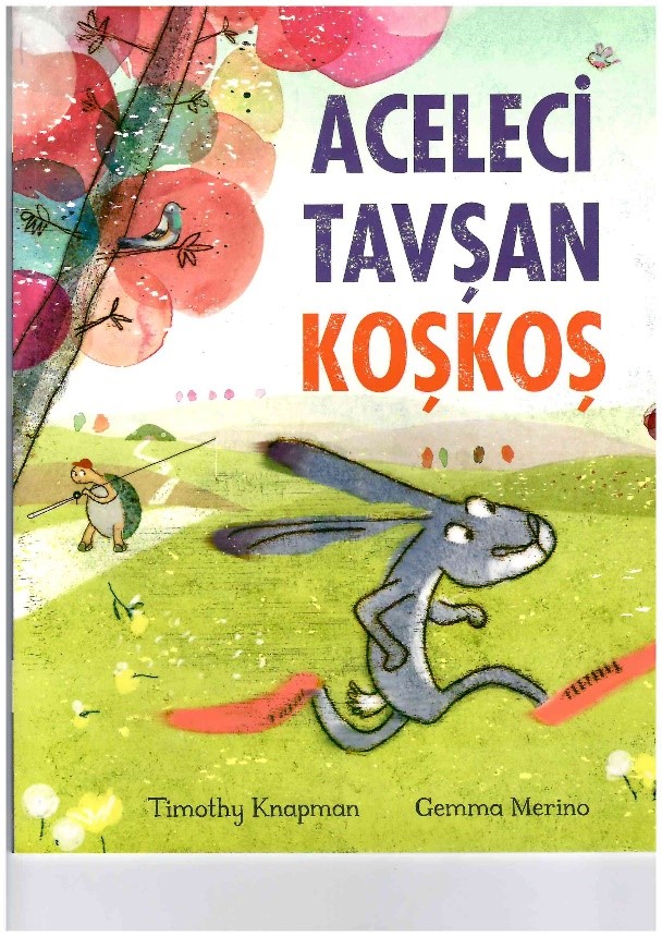 Aceleci Tavşan KoşKoş